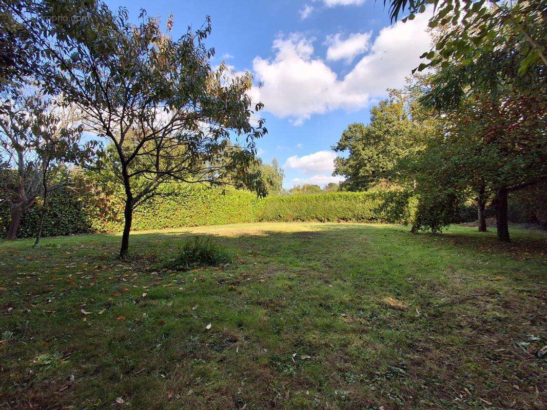 Terrain à NOUVOITOU