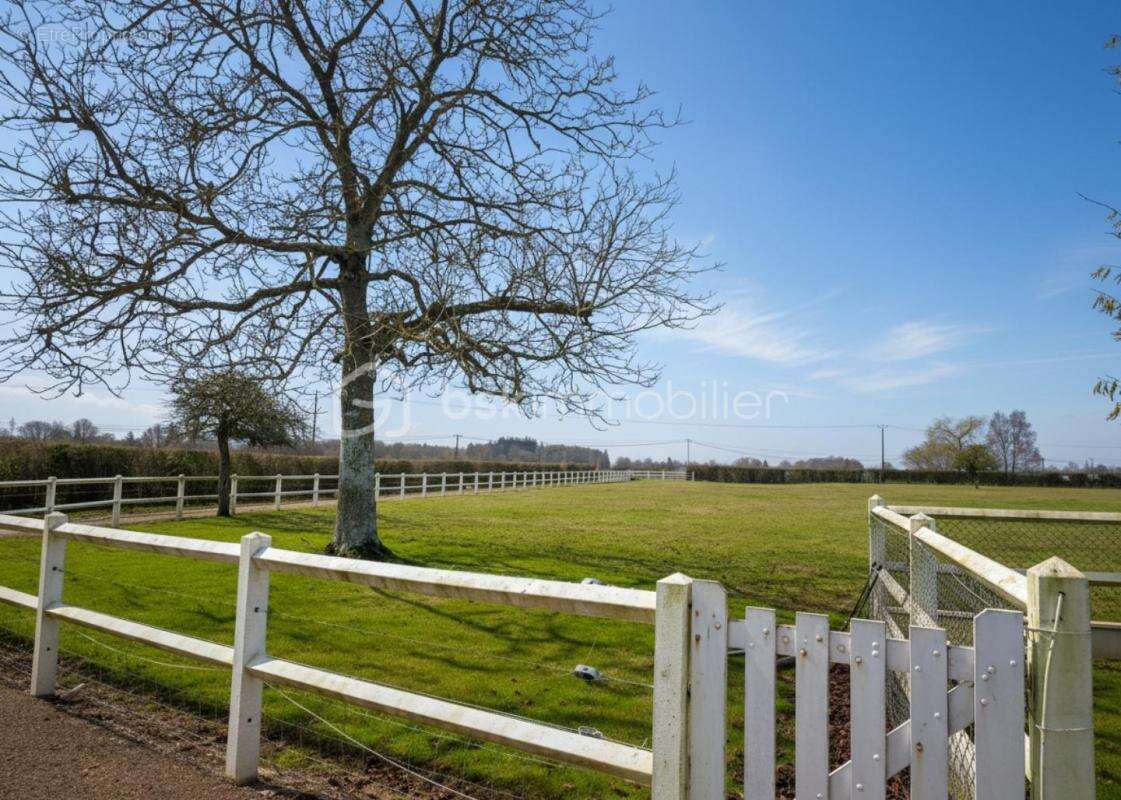 À Vendre – Propriété de 1,7 Hectare aux Portes du Perche - photo 4