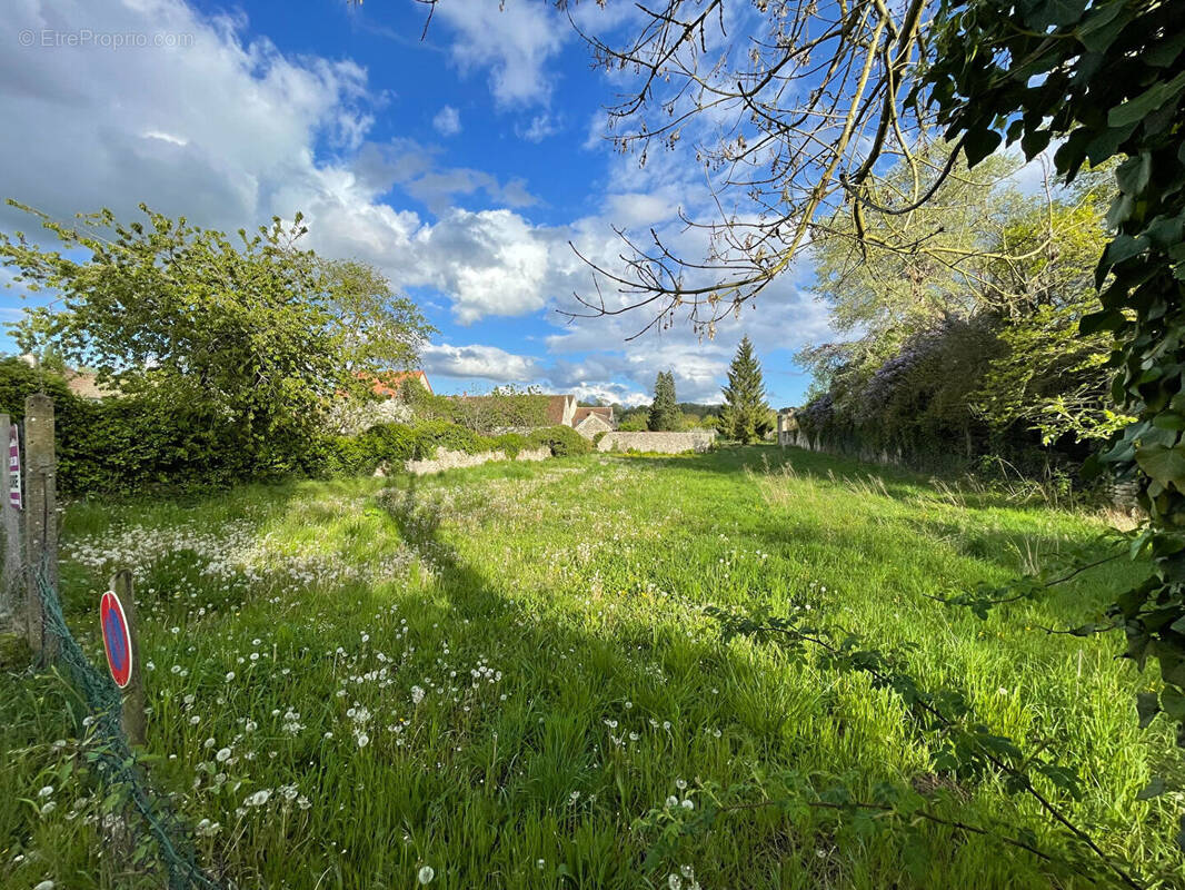 Terrain à FONTENAY-SAINT-PERE