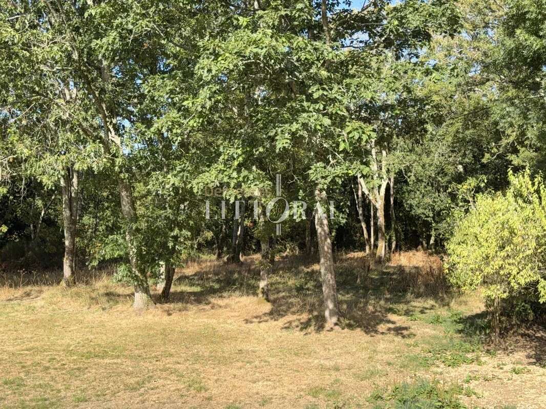 Propriété de caractère du XIXᵉ siècle au cœur d'un parc arboré, entre plages et golf - photo 43