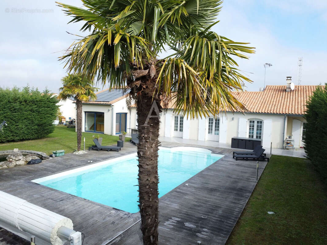 Maison Saint-savinien 9 pièce(s) piscine et local professionnel - photo 17