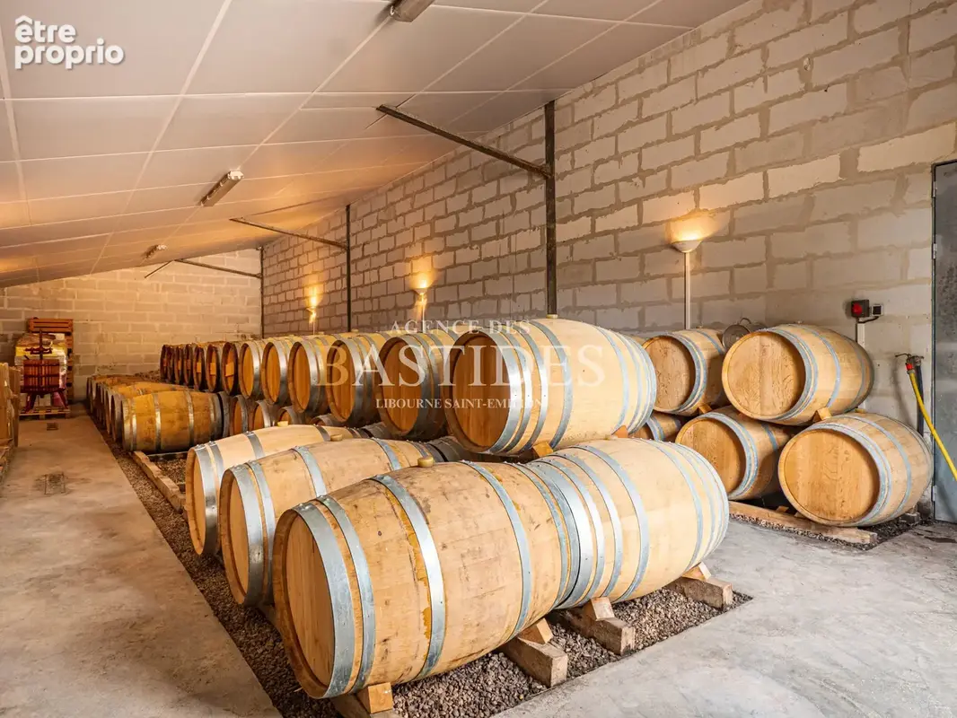 Propriété agricole 38,5Ha, batiments vinicoles et stockage - photo 14