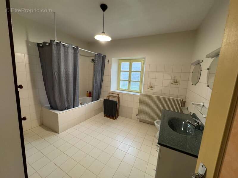 Maison à LE PETIT-PRESSIGNY