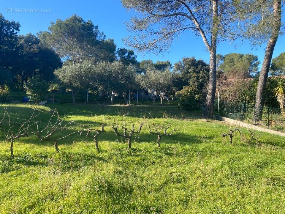 Terrain à PIERREFEU-DU-VAR
