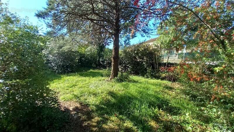 Maison à vendre 6 pièces VILLEFRANCHE DE ROUERGUE (12) - photo 2