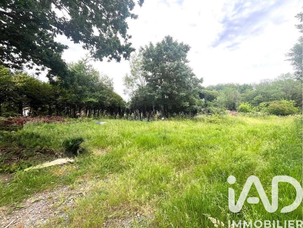 Terrain 550 m² à Pont-De-Buis-Les-Quimerch  - photo 3