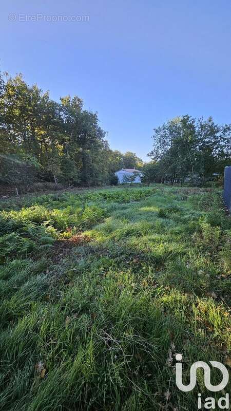 Photo 2 - Terrain à ETAULES