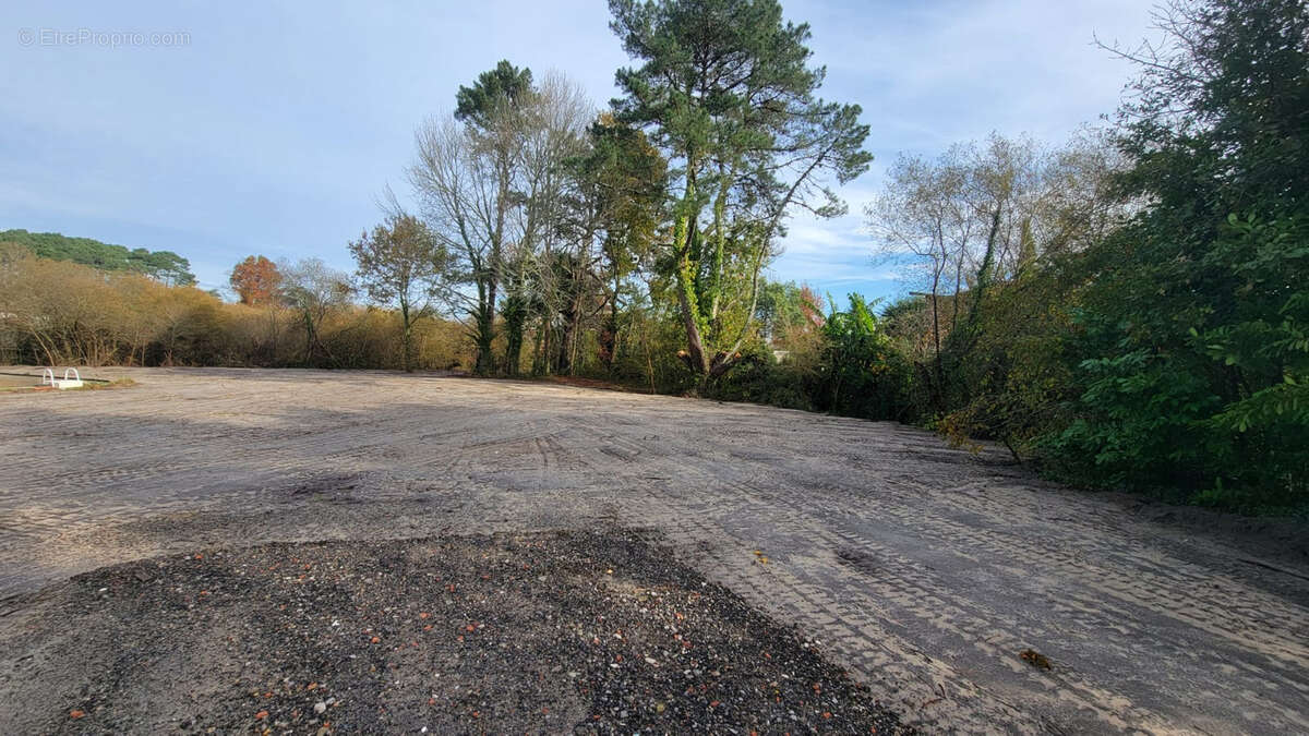 Terrain à SEIGNOSSE