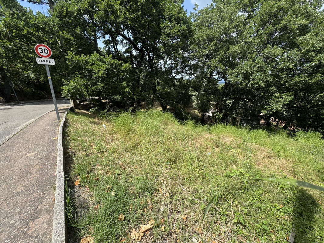 Terrain à LES MAYONS
