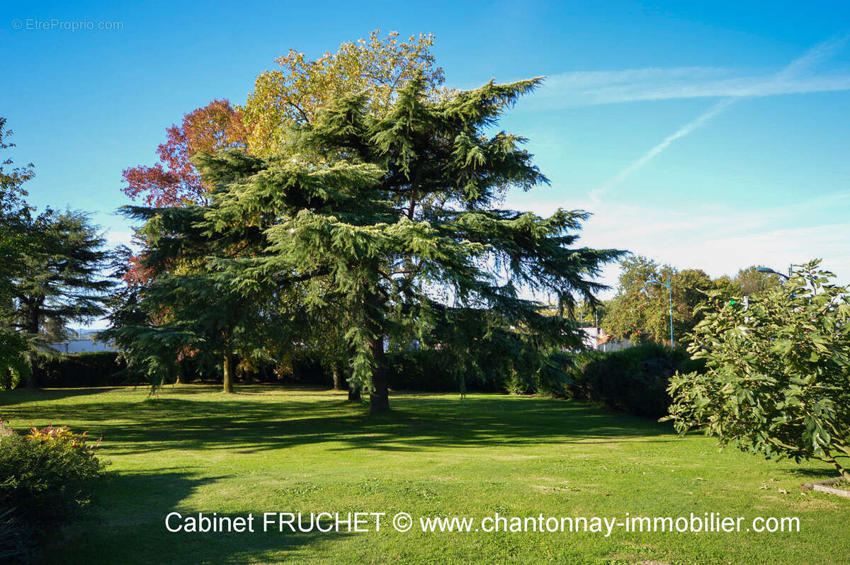 Maison à LA CHATAIGNERAIE