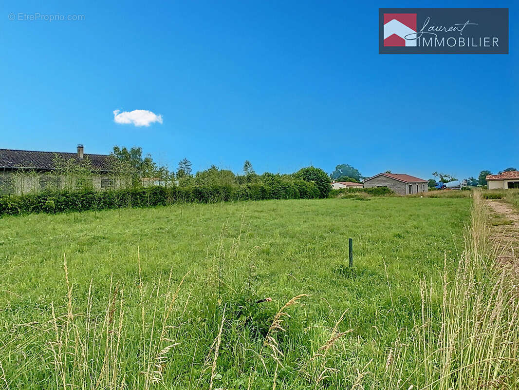 Terrain à SAINT-BENIGNE