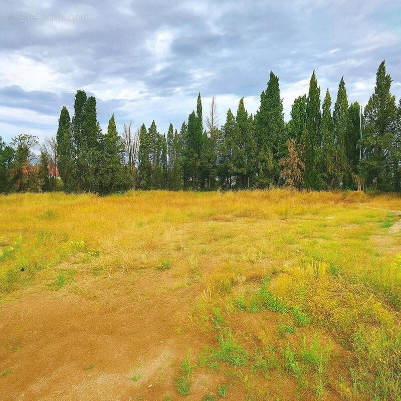 Photo 1 - Terrain à RIVESALTES