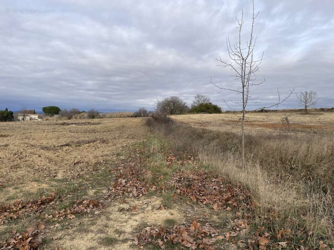 Terrain à BASSAN
