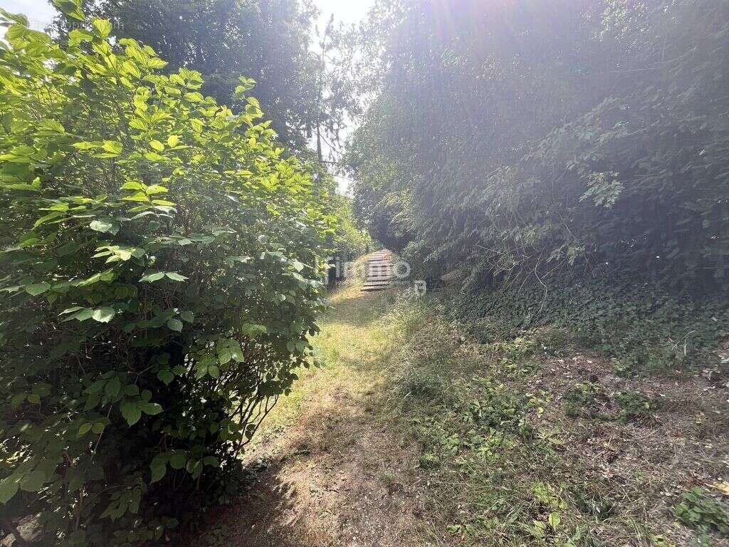 Appartement à LE PERREUX-SUR-MARNE