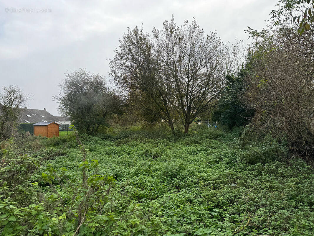 Terrain à LE QUESNOY