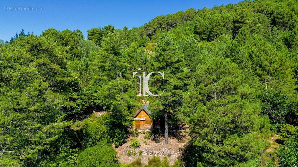 Petit chalet en pleine nature  20 m² habitables  Terrain constructible de 3 846 m² - photo 2