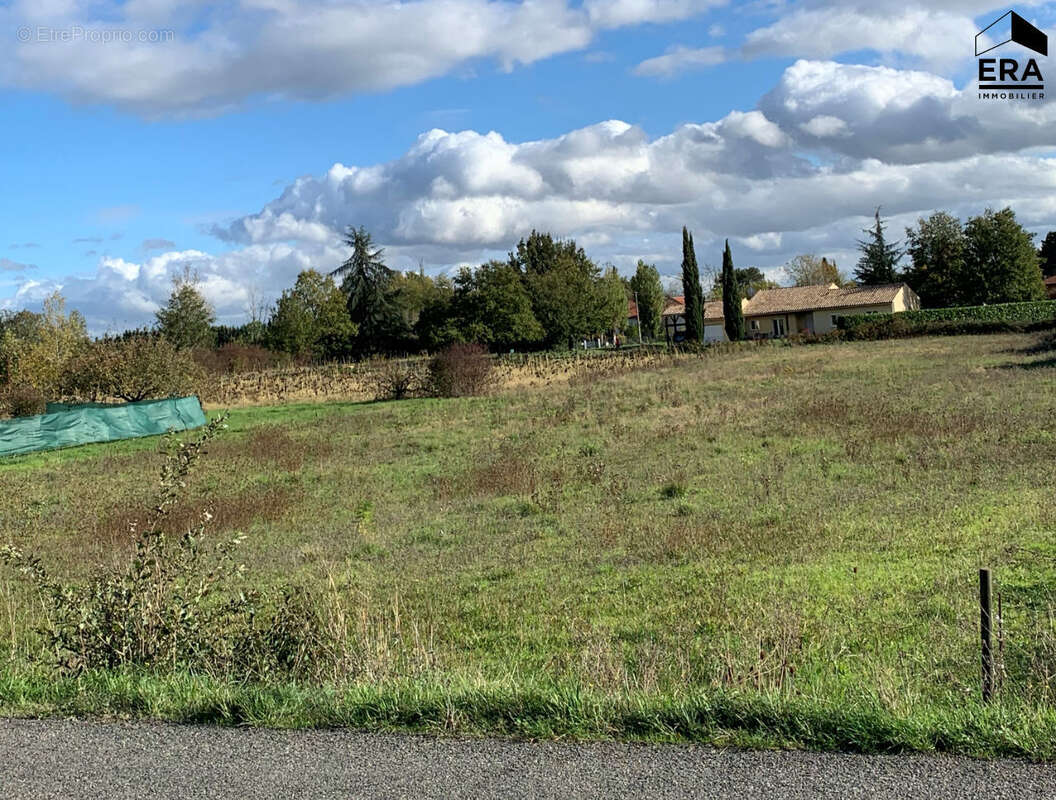 Terrain à GAILLAC