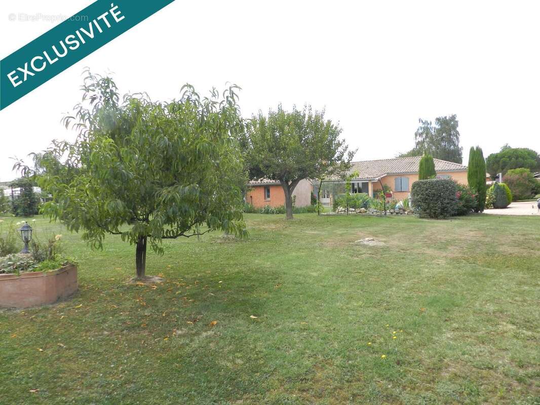 Photo 3 - Maison à MONBEQUI