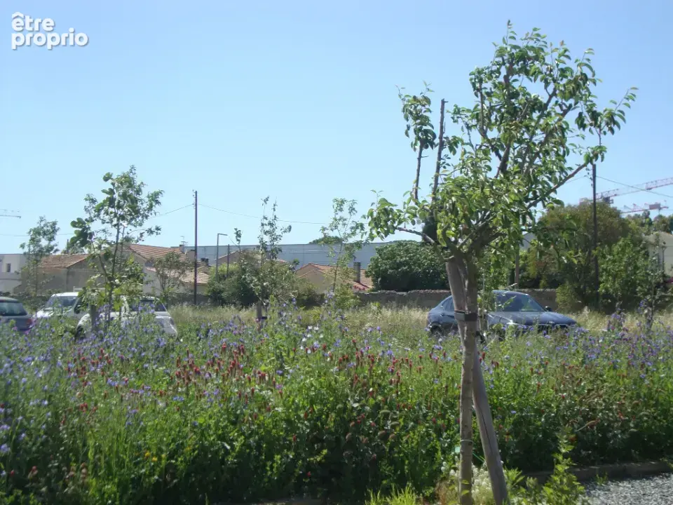 Terrain 255 m² à vendre à Hyeres (83400) - photo 4