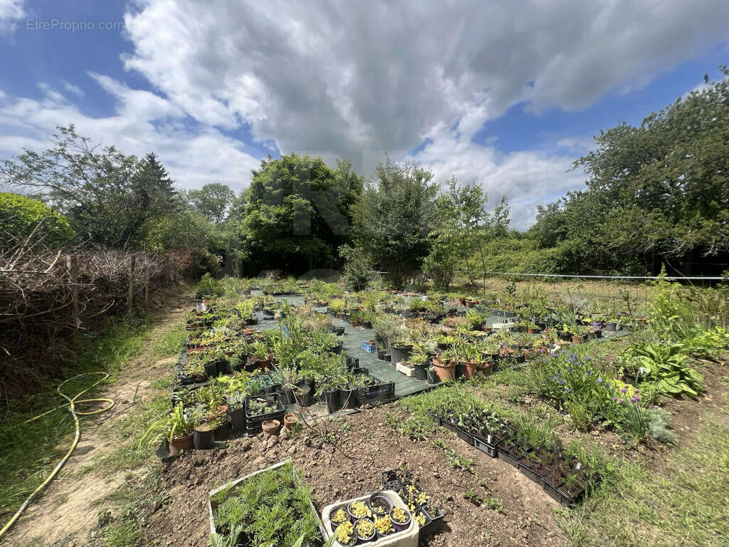Maison à TANNERRE-EN-PUISAYE