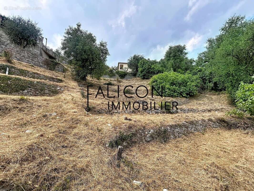 Falicon – Terrain constructible de 1 911 m² avec permis purgé pour une villa contemporaine - photo 2