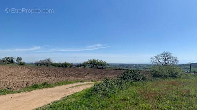 Terrain à SAINT-ALBAN-D&#039;AY
