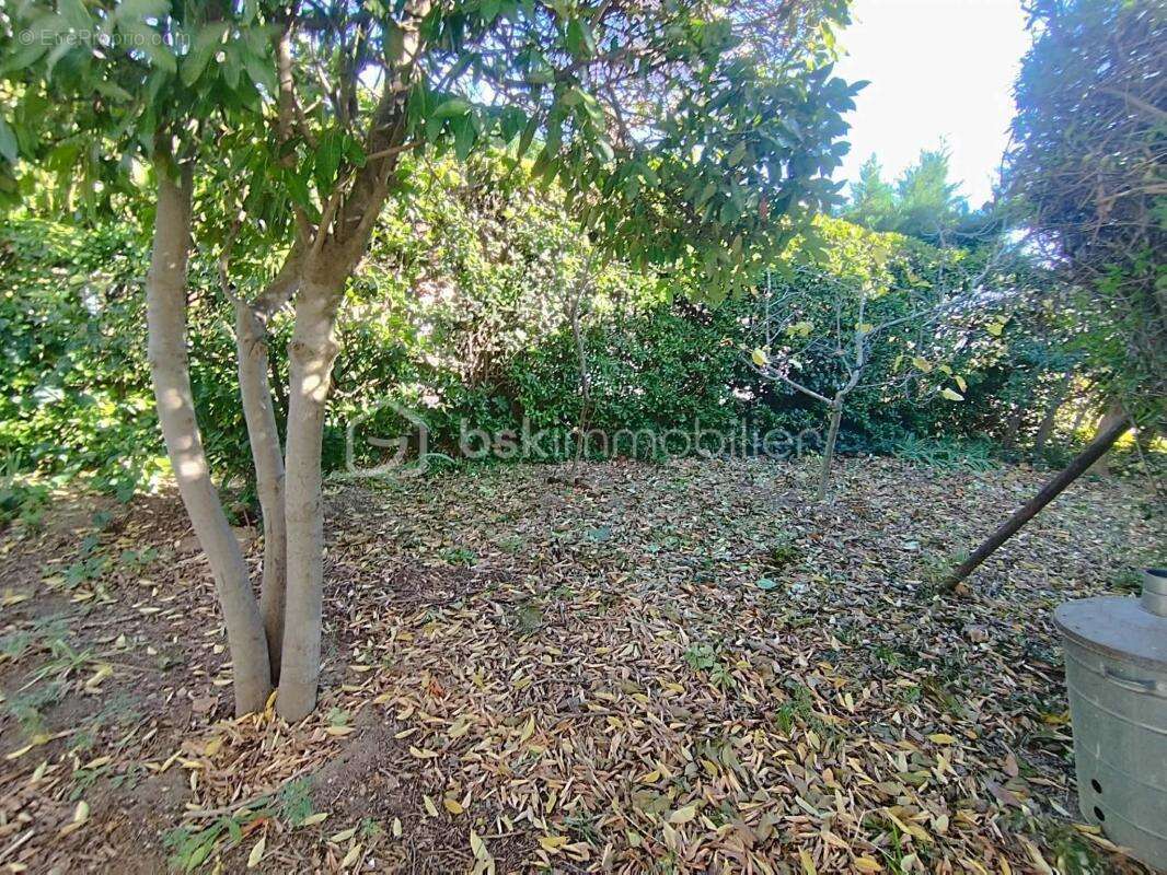 Maison à ARGELES-SUR-MER