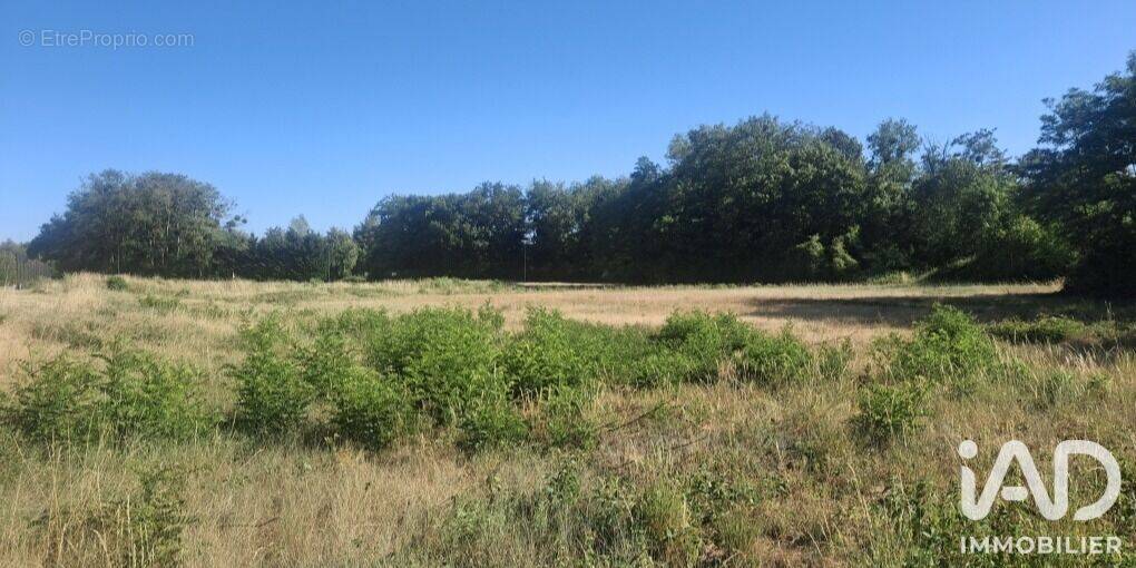 Photo 1 - Terrain à BRIARE