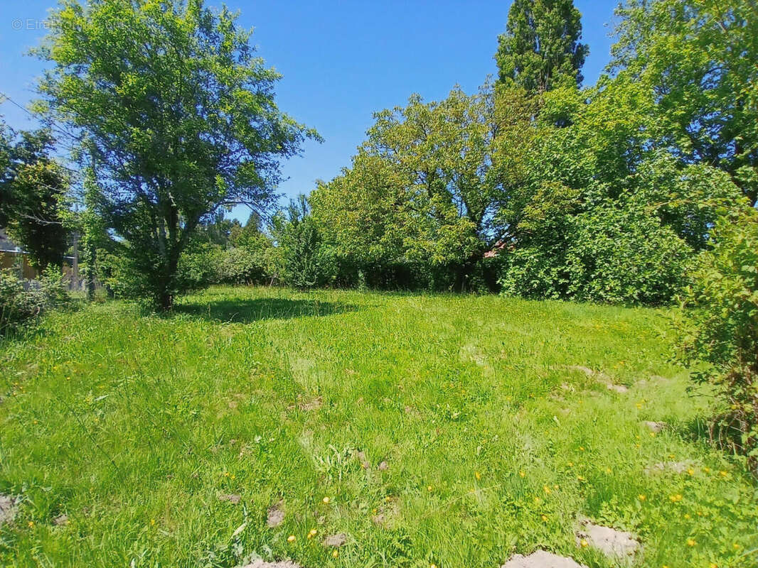 Maison de plain-pied de style pavillon, 3 chambres, avec un terrain de 4000 m²  à vendre en Dordogne - photo 11