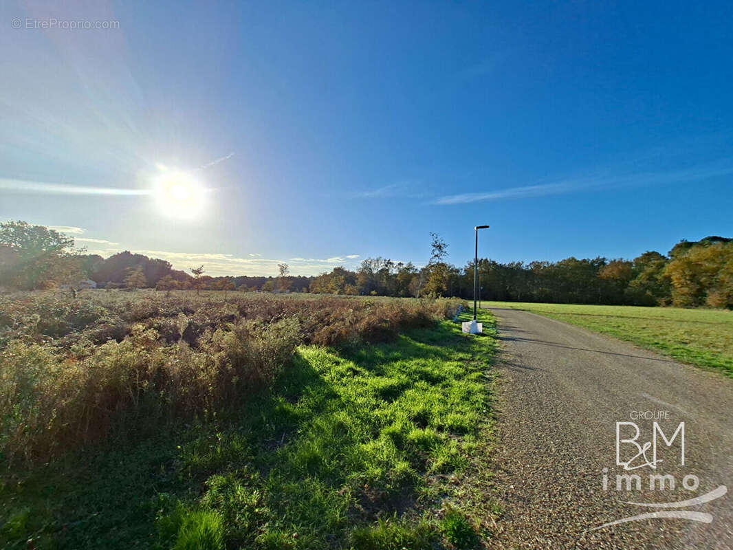 Terrain à SAINT-MICHEL-ESCALUS