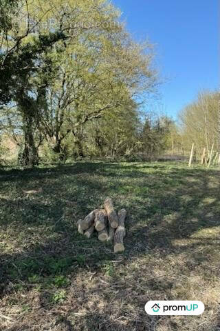 Terrain à BUIRE-COURCELLES