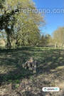 Terrain à BUIRE-COURCELLES