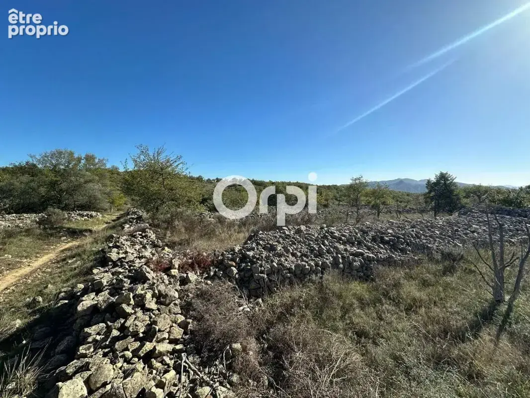 Terrain à RUOMS
