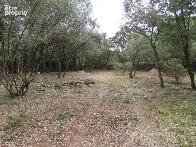 Terrain 2 630 m² à vendre à Uzes (30700) - photo 3