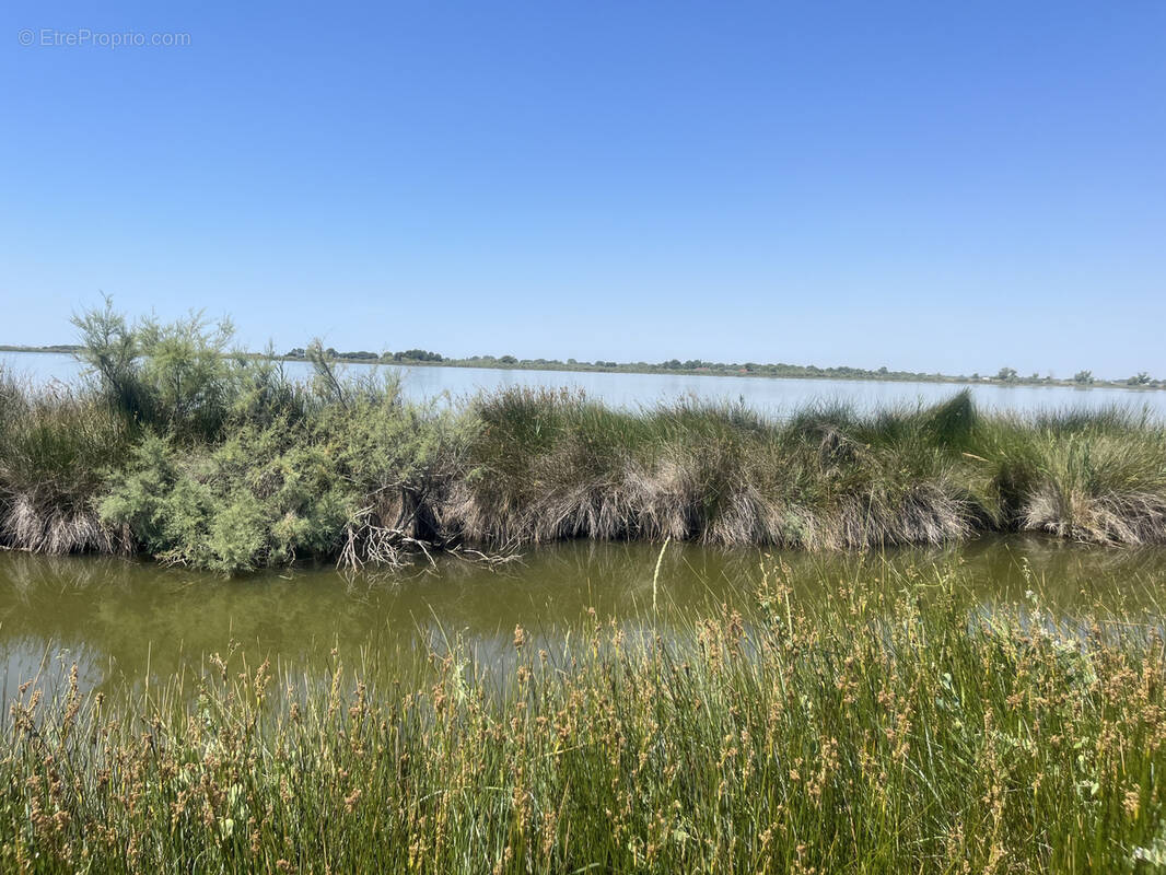 Terrain à AIGUES-MORTES