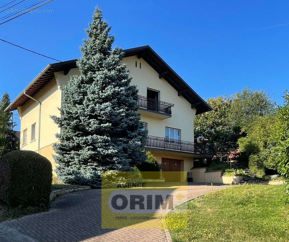 Maison à MICHELBACH-LE-HAUT