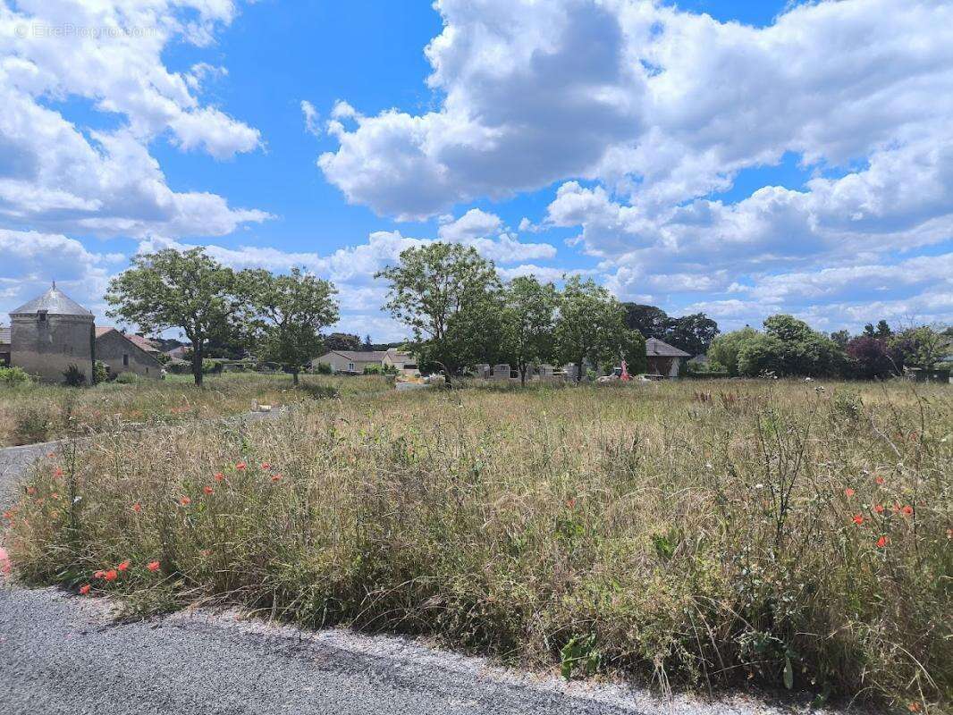 Terrain à MIGNE-AUXANCES