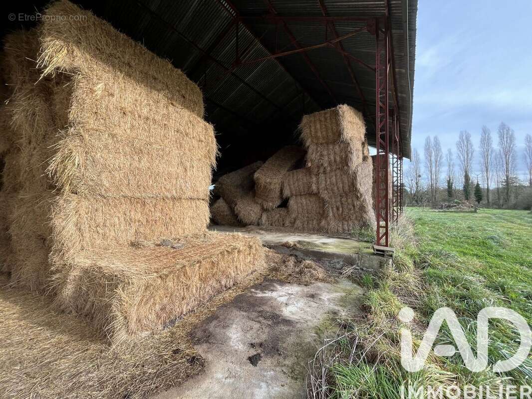 Photo 7 - Terrain à SAINT-SAVIN