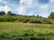 Terrain à CHAULGNES