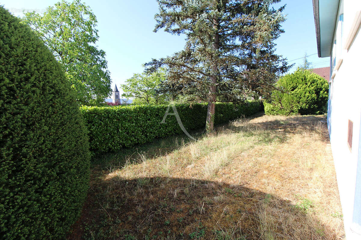 A VENDRE MALAIN - 24 min DIJON centre - maison + 4850m² de terrain constructible - photo 4