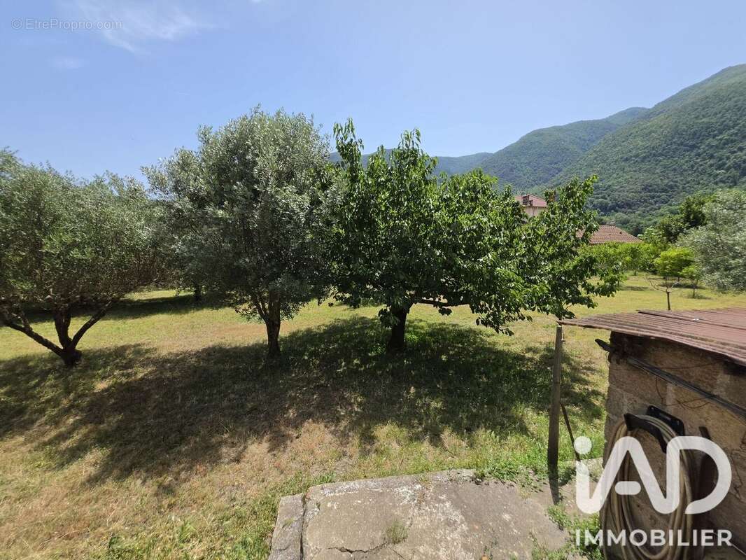 Terrain 1551 m² à Arles-Sur-Tech  - photo 4