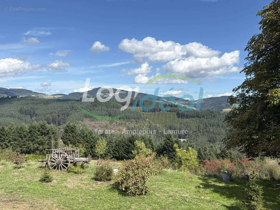 Maison de caractère sur les hauteurs de St Nizier d'Azergues sur + de 3000m2 de terrain. - photo 3