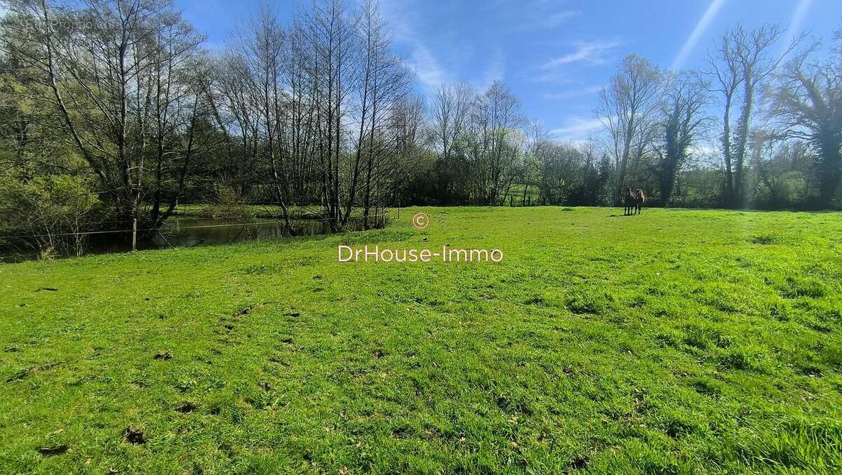 Terrain à LA RONDE-HAYE