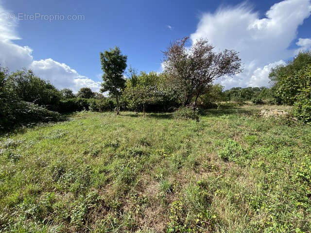 Terrain à BENET