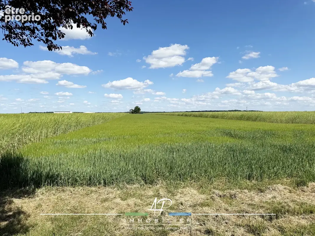 Grand terrain pour construire la maison de vos rêves !!! - photo 2