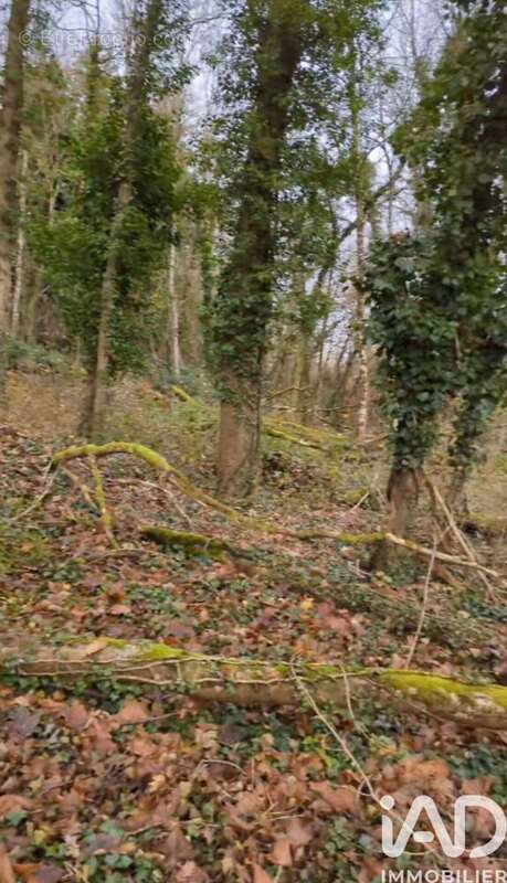 Photo 5 - Terrain à PONT-A-MOUSSON