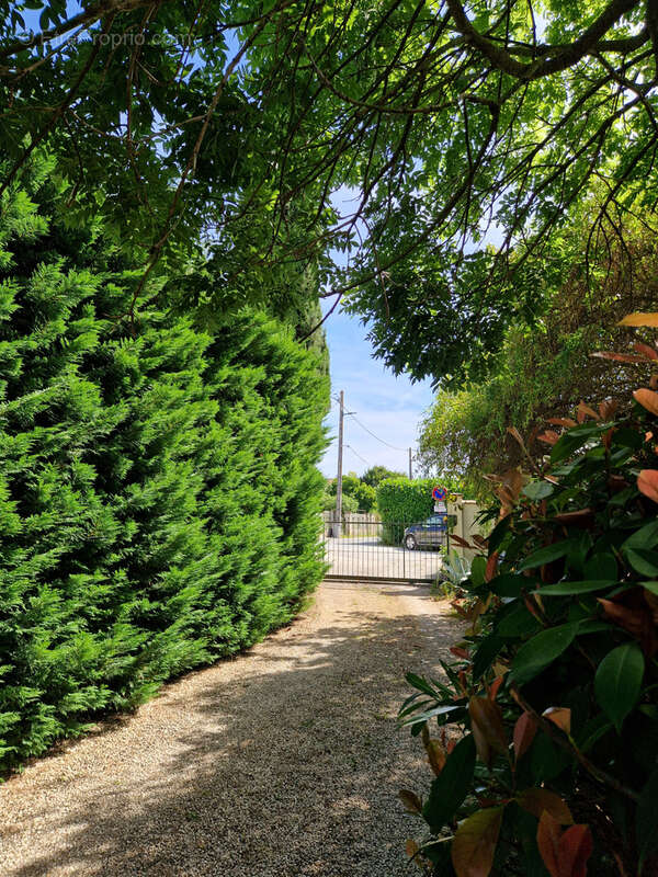 Maison bourgeoise 214 m2 en cœur de ville, avec piscine et jardin magnifique de 1300 m2. Garage, cave - photo 25