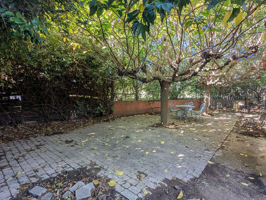 Commerce à SALERNES