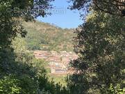 Maison à LA GARDE-FREINET