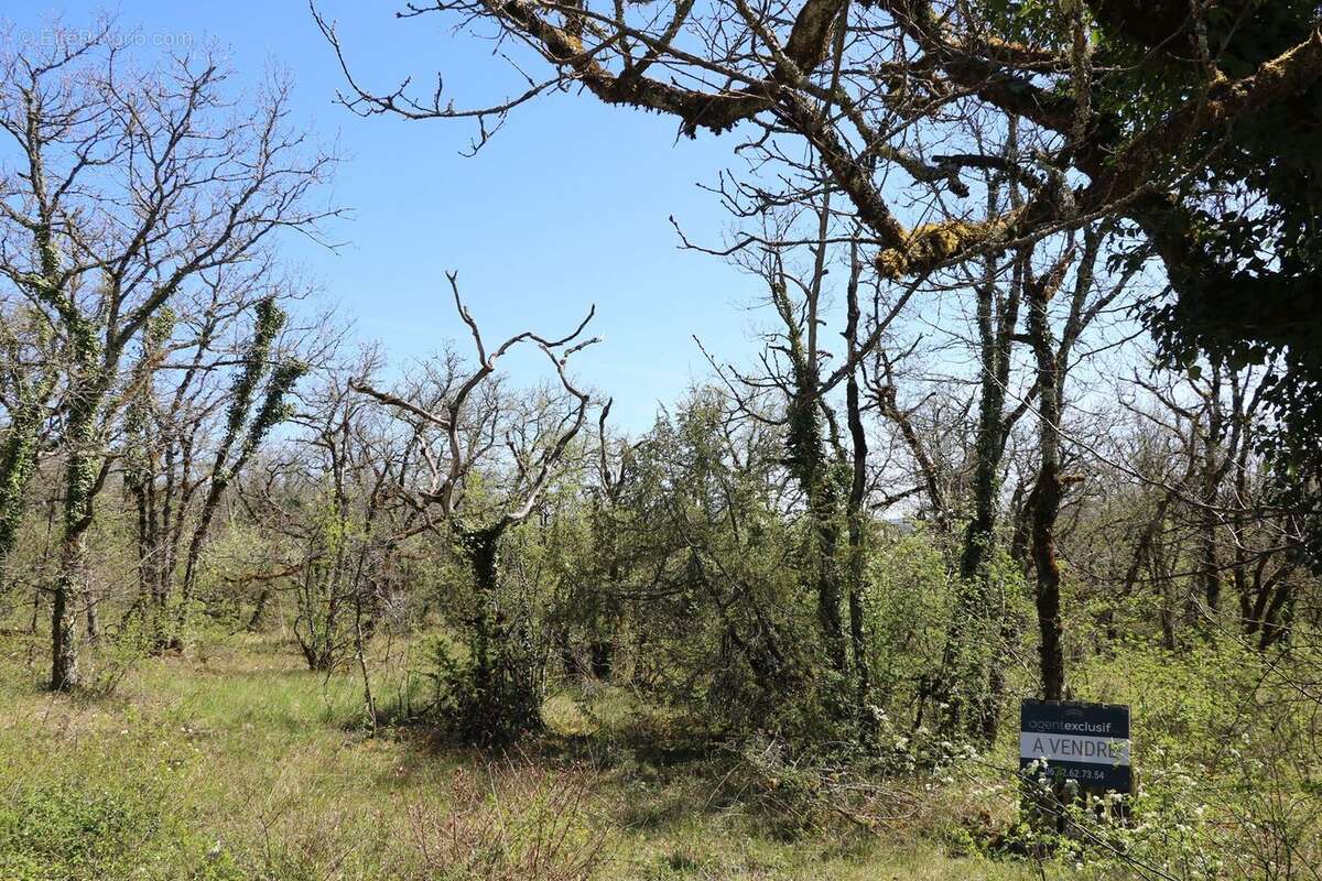 Terrain à LA DORNAC